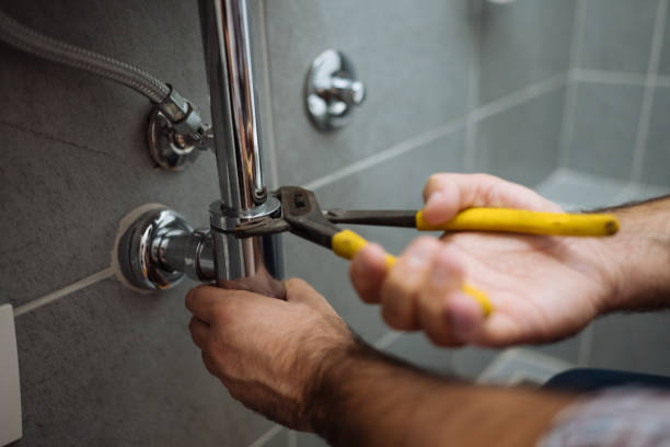 Best Local Plumber Services  in Cobb Island, MD